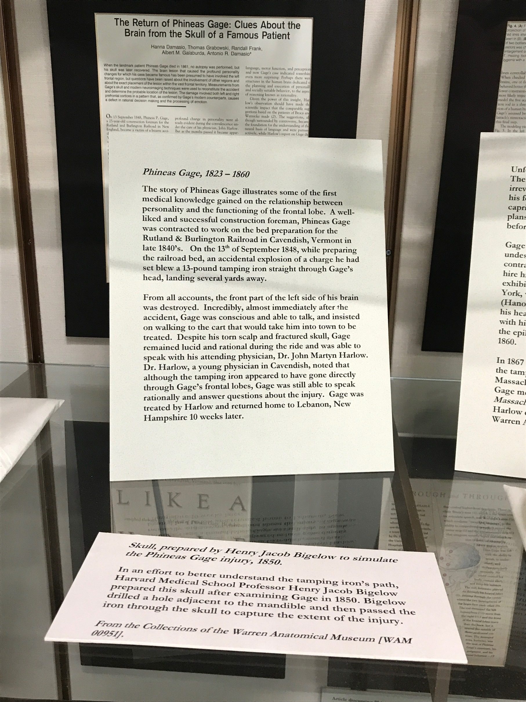 Phineas Gage memorabilia, Warren Anatomical Museum, Boston (by Luca Ambrosio) - 08.jpg